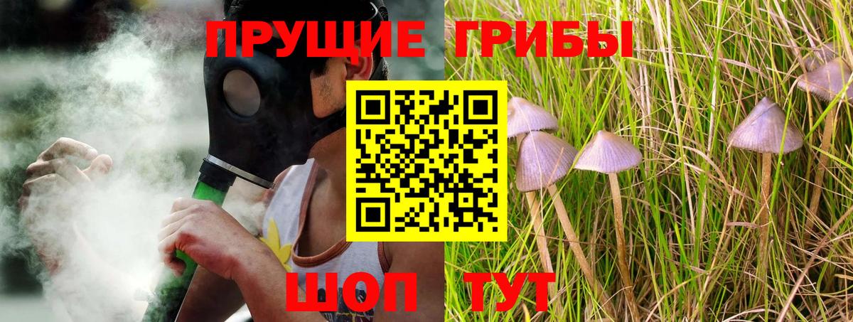 купить наркоту  Псилоцибиновые грибы Psilocybine cubensis  Вход с VPN  Звенигород 